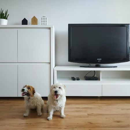 Uroczy Apartament Pod Skarpa Wadowice Bagian luar foto
