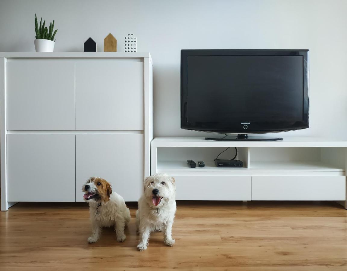 Uroczy Apartament Pod Skarpa Wadowice Bagian luar foto